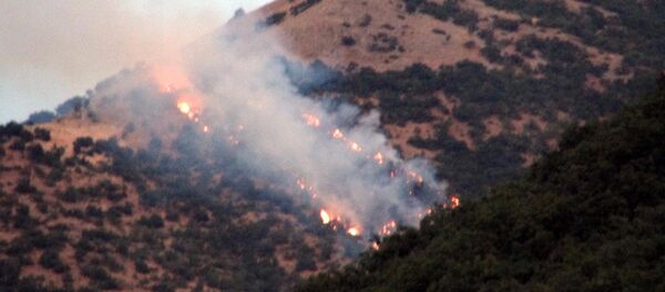Tunceli yangın - Sputnik Türkiye