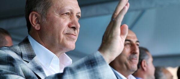 Cumhurbaşkanı Recep Tayyip Erdoğan - Sputnik Türkiye