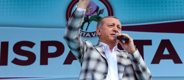 Cumhurbaşkanı Recep Tayyip Erdoğan - Sputnik Türkiye