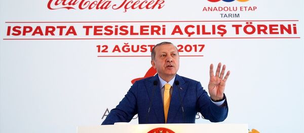Cumhurbaşkanı Recep Tayyip Erdoğan - Sputnik Türkiye