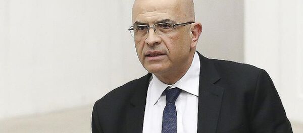 Enis Berberoğlu Enis Berberoğlu - Sputnik Türkiye