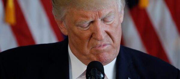 ABD Başkanı Donald Trump - Sputnik Türkiye