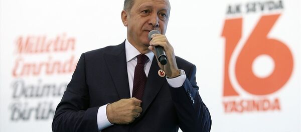 Cumhurbaşkanı Recep Tayyip Erdoğan - Sputnik Türkiye