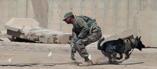 ABD askeri- Irak - Sputnik Türkiye