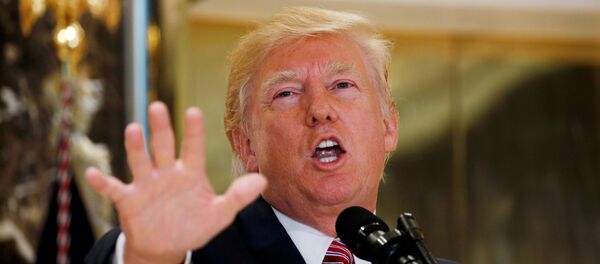 ABD Başkanı Donald Trump - Sputnik Türkiye