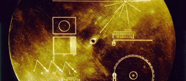 Voyager Altın Plak - Sputnik Türkiye