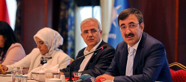 Cevdet Yılmaz - Sputnik Türkiye