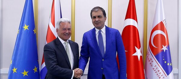 Avrupa Birliği (AB) Bakanı ve Başmüzakereci Ömer Çelik - İngiltere Dışişleri Bakanlığı Avrupa'dan Sorumlu Devlet Bakanı Alan Duncan - Sputnik Türkiye