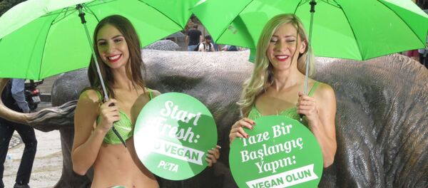 Kadıköy'de vegan eylem - Sputnik Türkiye