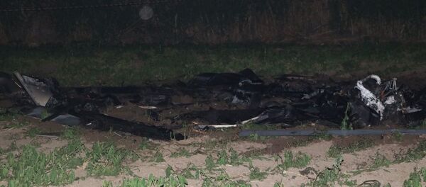 Adana'da ABD'ye ait insansız hava aracı düştü - Sputnik Türkiye