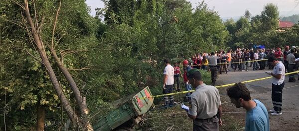 Tarım işçilerini taşıyan traktör devrildi - Sputnik Türkiye