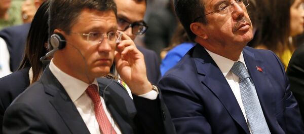 Türkiye Ekonomi Bakanı Nihat Zeybekci - Rusya Enerji Bakanı Aleksandr Novak - Sputnik Türkiye
