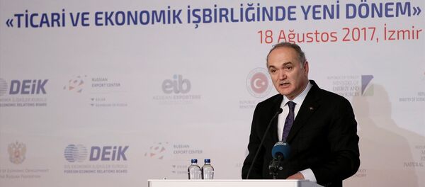 Bilim, Sanayi ve Teknoloji Bakanı Faruk Özlü - Sputnik Türkiye