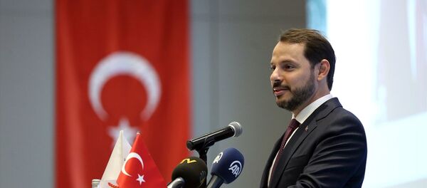 Berat Albayrak - Sputnik Türkiye