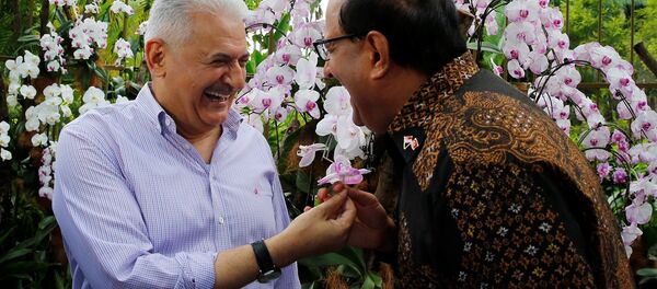 Başbakan Binali Yıldırım ve Singapur Sanayi ve Ticaret Bakanı S Iswaran - Sputnik Türkiye