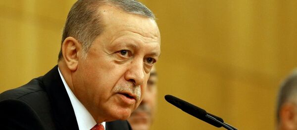 Cumhurbaşkanı Recep Tayyip Erdoğan - Sputnik Türkiye