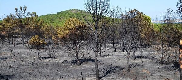 Ayvalık - Sputnik Türkiye