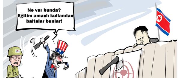 Karikatür - Sputnik Türkiye
