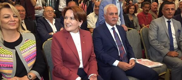 Koray Aydın - Meral Akşener - Sputnik Türkiye