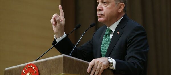 Cumhurbaşkanı Recep Tayyip Erdoğan - Sputnik Türkiye