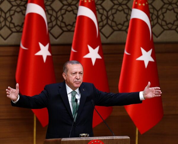 Cumhurbaşkanı Recep Tayyip Erdoğan Cumhurbaşkanı Recep Tayyip Erdoğan - Sputnik Türkiye