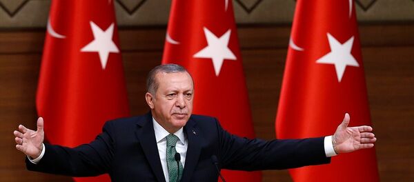 Cumhurbaşkanı Recep Tayyip Erdoğan - Sputnik Türkiye