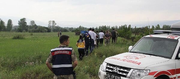 Tarla - Sputnik Türkiye