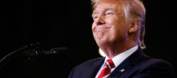 ABD Başkanı Donald Trump ABD Başkanı Donald Trump - Sputnik Türkiye