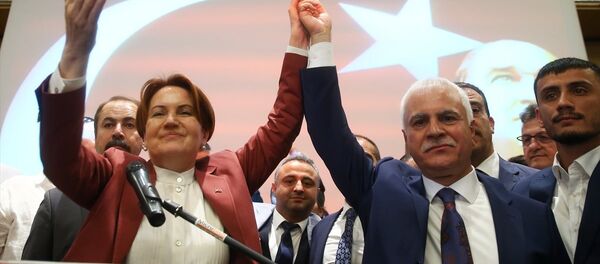 Koray Aydın - Meral Akşener - Sputnik Türkiye