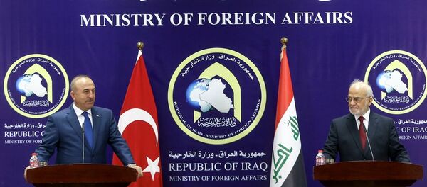 Dışişleri Bakanı Mevlüt Çavuşoğlu, Irak Dışişleri Bakanı İbrahim Caferi - Sputnik Türkiye