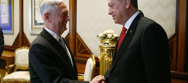 Erdoğan ve Mattis - Sputnik Türkiye