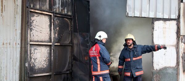 Şişli'de kurbanlıkların bulunduğu barınakta çıkan yangın - Sputnik Türkiye