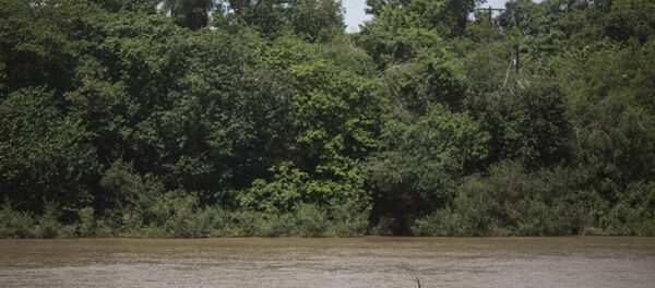 Amazon - Sputnik Türkiye