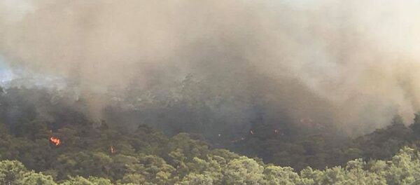 Fethiye'de orman yangını - Sputnik Türkiye