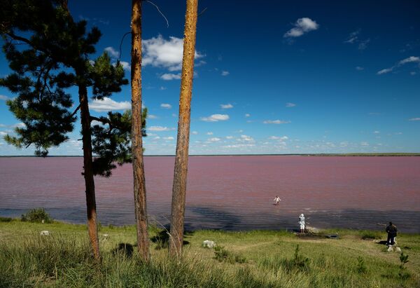 Altay'ın Mikhaylovskoye bölgesindeki acı-tuzlu 'Pembe' gölün görünümü. - Sputnik Türkiye
