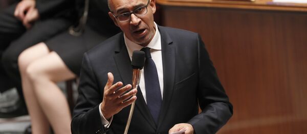 AGİT Basın Özgürlüğü Temsilcisi Harlem Desir AGİT Basın Özgürlüğü Temsilcisi Harlem Desir - Sputnik Türkiye