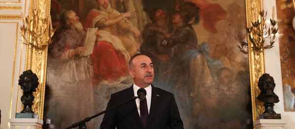 Dışişleri Bakanı Mevlüt Çavuşoğlu - Sputnik Türkiye