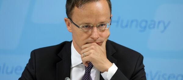 Macaristan Dışişleri Bakanı Péter Szijjarto - Sputnik Türkiye
