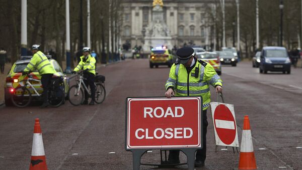 Buckingham Sarayı'nda polis yolu kapatıyor - Sputnik Türkiye