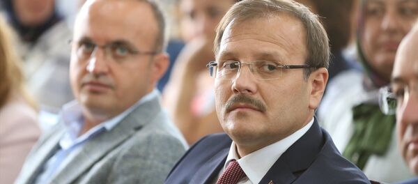 Başbakan Yardımcısı Hakan Çavuşoğlu - Sputnik Türkiye