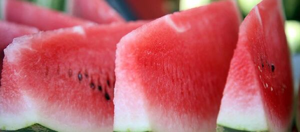 Karpuz Karpuz - Sputnik Türkiye