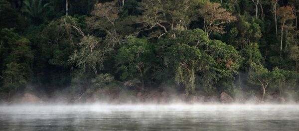 Amazon - Sputnik Türkiye