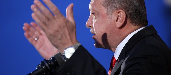 Cumhurbaşkanı Recep Tayyip Erdoğan - Sputnik Türkiye