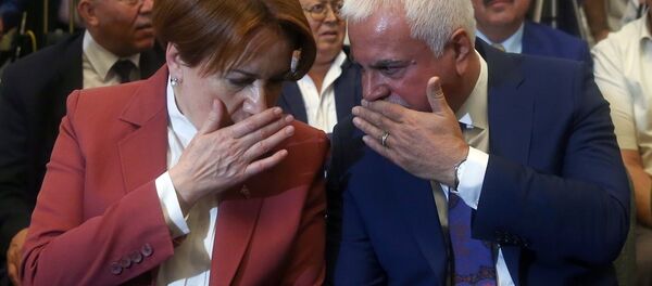 Eski MHP Milletvekili Koray Aydın- Meral Akşener - Sputnik Türkiye