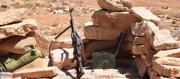 Lübnan - Suriye - Sputnik Türkiye