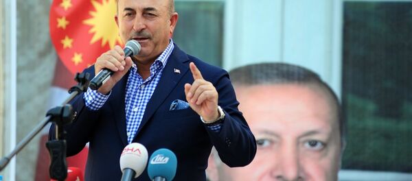 Dışişleri Bakanı Mevlüt Çavuşoğlu - Sputnik Türkiye