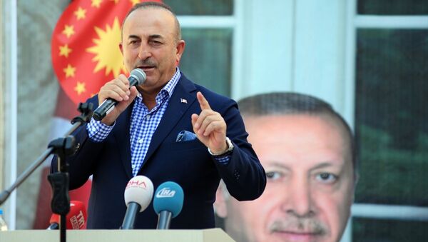 Dışişleri Bakanı Mevlüt Çavuşoğlu - Sputnik Türkiye