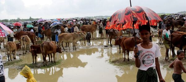 Arakan Arakan - Sputnik Türkiye