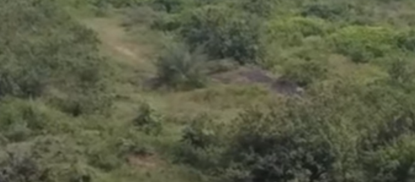 Hindistan’da 50 yaşındaki bir adamı birlikte selfie çekmeye çalıştığı fil ezdi. Yaşlı adam hayatını kaybetti. - Sputnik Türkiye