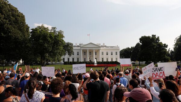Beyaz Saray önünde DACA protestosu - Sputnik Türkiye